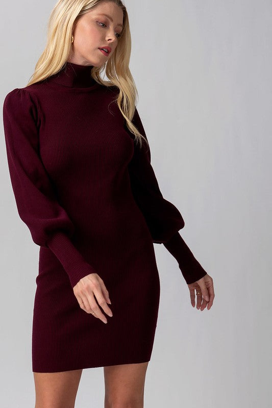 Marie Rin Knit Turtle NecK Puff Sleeve Dress