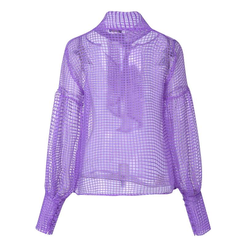 Elegant Mesh Blouse With Scarf